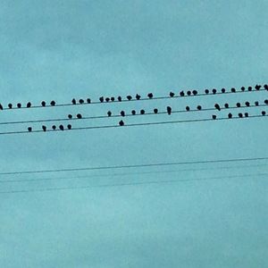 Meet your Posher, Kara